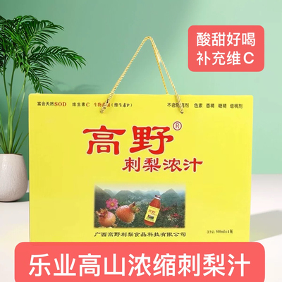 500ml饮料水礼盒营养瓶装浓缩汁