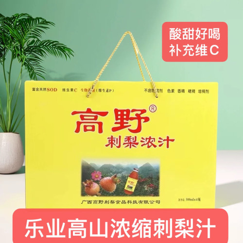 500ml饮料水礼盒营养瓶装浓缩汁