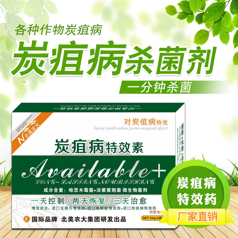 炭疽病特效素进口杀菌剂番茄花卉西瓜辣椒草莓西红柿专用北美农大