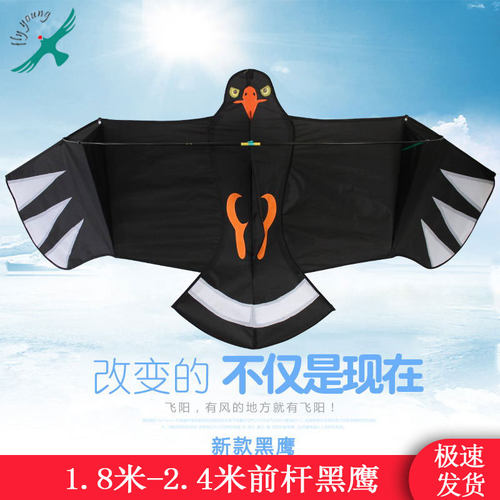 飞阳前撑杆老鹰风筝成人微风易飞