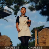 Подтяжки, модный фартук без рукавов, кофейный нагрудник подходит для мужчин и женщин, делается под заказ, с печатью вашего логотипа