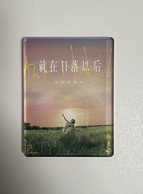 孙燕姿专辑封面亚克力磁吸冰箱贴可定制是时候逆光遇见