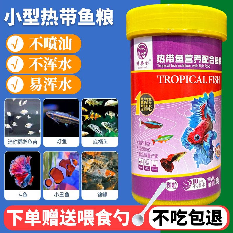 孔雀鱼饲料小金鱼幼鱼苗