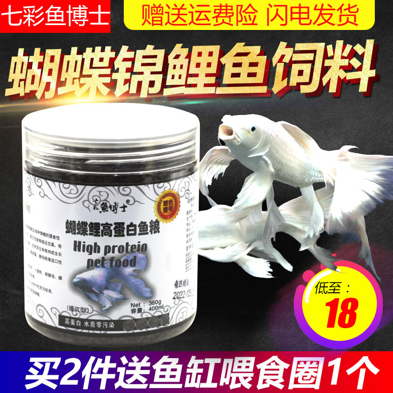 七彩鱼博士白金蝴蝶龙凤锦鲤鲤鱼