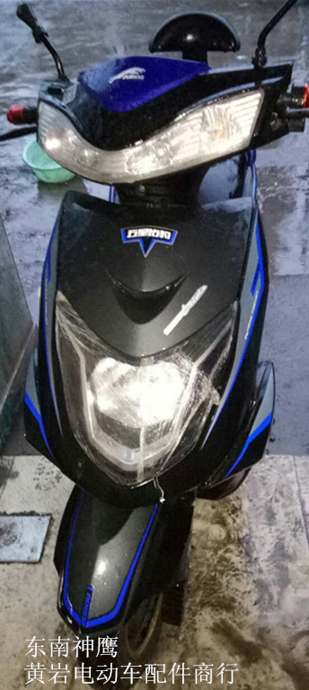 东南外壳五星钻豹绿驹