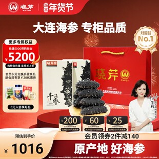 晓芹干海参100g大连淡干海参干货15-18头50克2盒海鲜特产辽海刺参