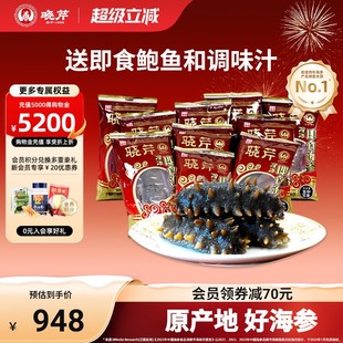 辽刺参海鲜水产 大连海参 晓芹海参1500g即食35 50只