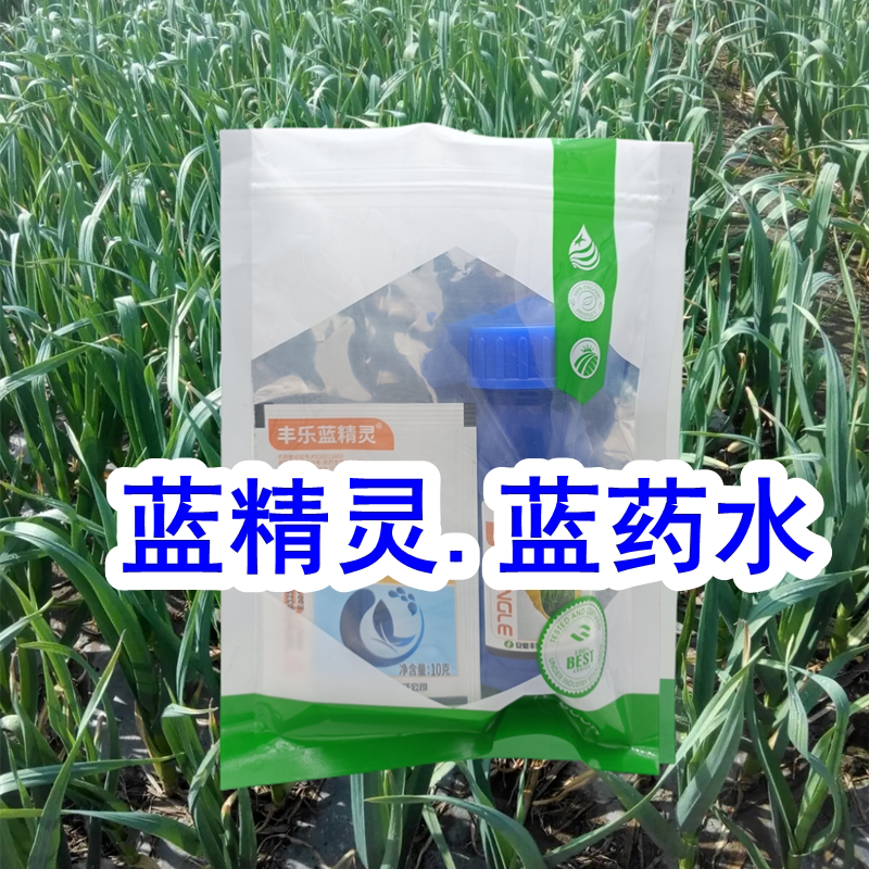 蓝精灵蓝药水大蒜洋葱大葱防干尖黄叶死苗烂根专用药上色增绿叶