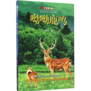 正版 浙江摄影出版 包邮 刘先平 社 呦呦鹿鸣