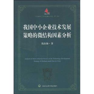 我国中小企业技术发展策略 社有限公司 正版 上海社会科学院出版 著 微结构因素分析 包邮 钱春海