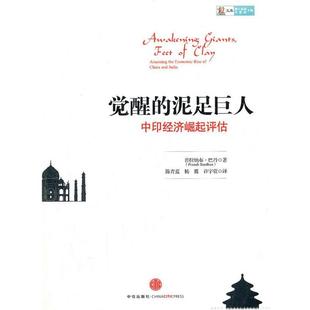 【正版包邮】 觉醒的泥足巨人 (印)巴丹 著,陈青蓝 等译 中信出版社