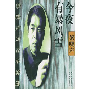 【正版包邮】 今夜有暴风雪—梁晓声知青小说选 梁晓声 著 经济日报出版社