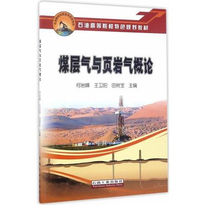 【正版包邮】 煤层气与页岩气概论 何岩峰,王卫阳,田树宝 编 石油工业出版社