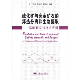 【正版包邮】 硫化矿与含金矿石的浮选分离和生物提取：基础研究与技术应用 王淀佐,覃文庆,姚国成 著 中南大学出版社