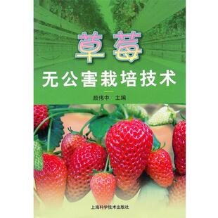 【正版包邮】 草莓无公害栽培技术 颜伟中　主编 上海科学技术出版社