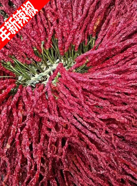 新货贵州干辣椒大方皱椒微辣特香