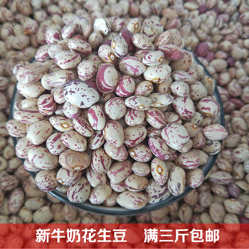 贵州特产花生豆牛奶豆毕节花豆四季豆煮汤熬汤新干豆子满三斤包邮