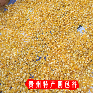 贵州特产农家自晒糯阴包谷阴苞谷豆粒糯玉米干包谷粒粗粮500g包邮