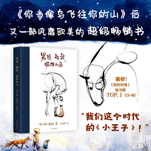 男孩、鼹鼠、狐狸和马（奥斯卡获奖动画原著！当代《小王子》！）