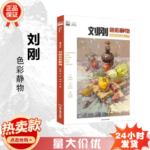 刘刚色彩静物入门绘画书籍