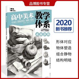 高中美术教学体系素描静物2020敲门砖王志彬基础入门单体塑造组合水果蔬菜花卉器皿杂物结构明暗对应步骤临摹技法素材美术绘画书籍