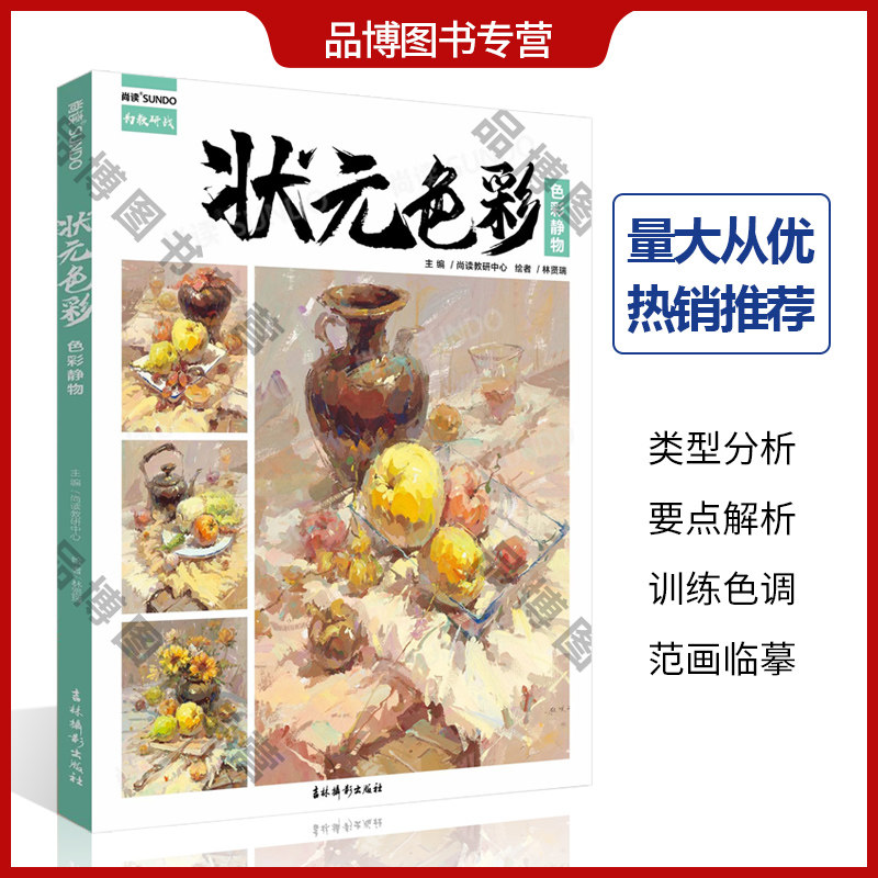 色稿完整稿步骤照片对画临摹范本写生素材美术高联考教材教程画册书籍