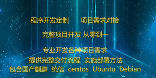 项目开发 Java开发 项目对接 国产系统麒麟 统信及各种系统上开发