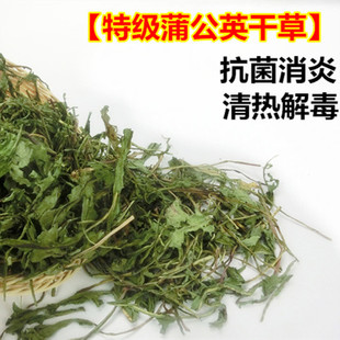 天然烘干蒲公英干草清热解毒抗菌消炎宠物兔子龙猫豚鼠荷兰猪 包邮