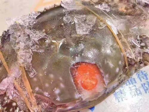 温州特产万江大呛蟹咸整箱母蟹