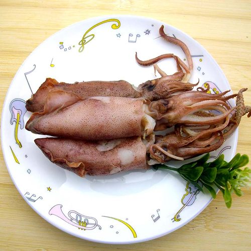 舟山特产野生海兔干鱿鱼仔笔管鱼