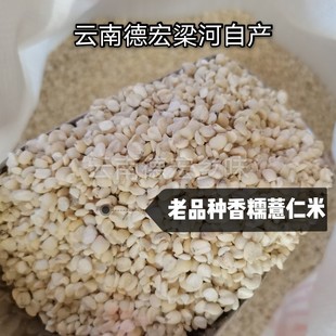 老品种糯薏仁米云南德宏梁河特产香糯薏仁米食用农产品500g 包邮