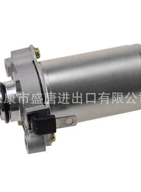 摩托车马达配件 10齿 12V启动电机发动机ZIP50 PIAIO 80 LIBERT