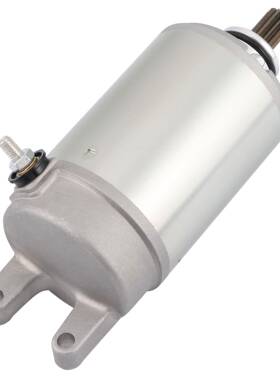 10T齿轮摩托车启动电机马达起动机型号:NINJAZX-690-93