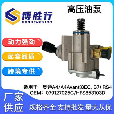 适用于奥迪大众4.2L高压燃油泵079127025C HFS853103 HFS853103D