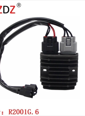 适用于 Triumph 675 1050 T1300675 T2500953 T2500954