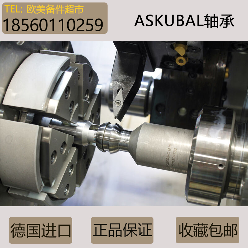 德国原装进口轴承ASKUBAL