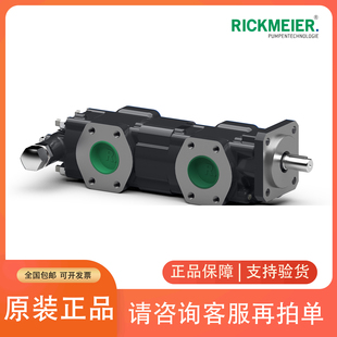 瑞克梅尔Rickmeier齿轮油泵R35/63 FL-Z-R-SO燃油分油机供给泵