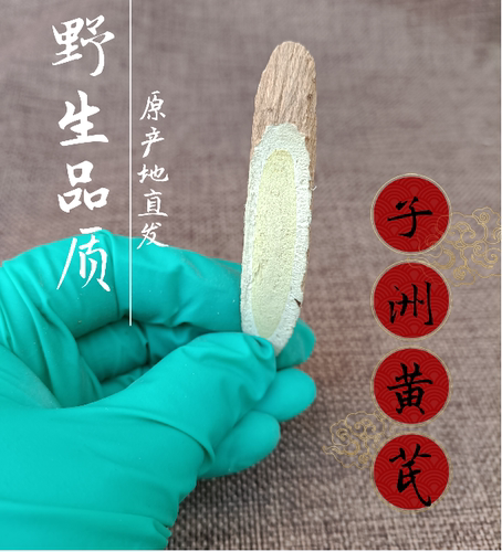 十年陕北农家产子黄芪野生品质
