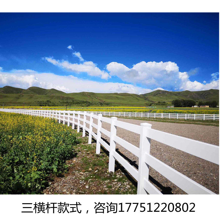 萌宠乐园PVC马场护栏赛道马术护栏/隔离栏