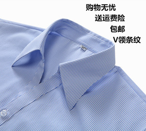 夏女士短袖白底蓝色细条纹职业衬衫银行V领修身工装衬衣寸衫大码