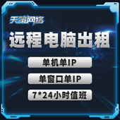 天策远程电脑出租用单窗口IP工作室模拟器虚拟机多开E3E5云服务器