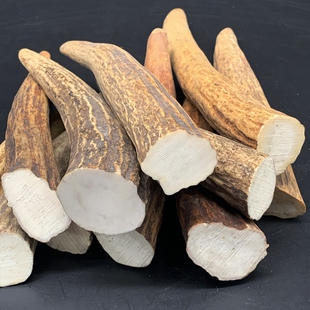 鹿角尖实心 原料烟斗 根付雕刻料 把件料刀柄料半斤包邮