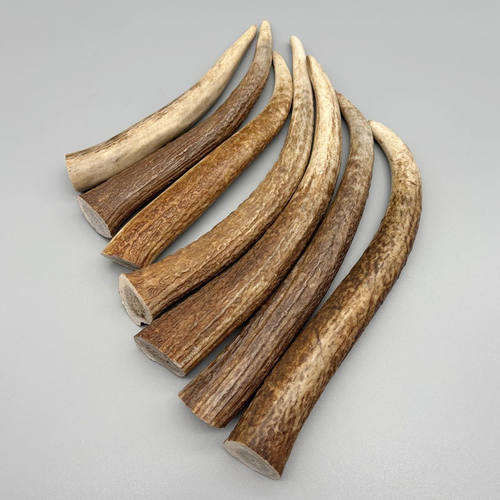 天然鹿角原角马鹿角尖雕刻料单根素骨真角手工diy 摆件工艺品原料