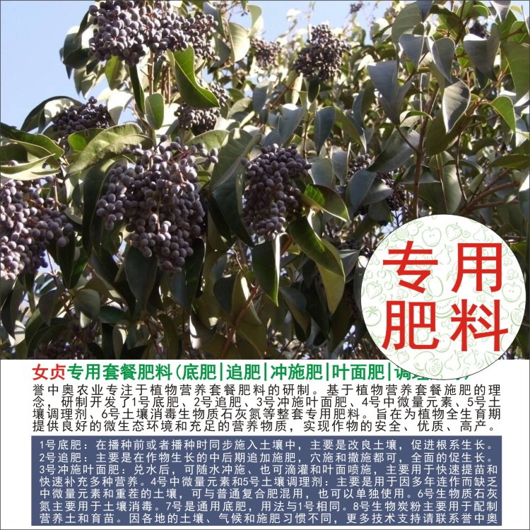 1-50斤女贞专用肥料完整全套肥料家用通用农用有机肥复合肥颗粒