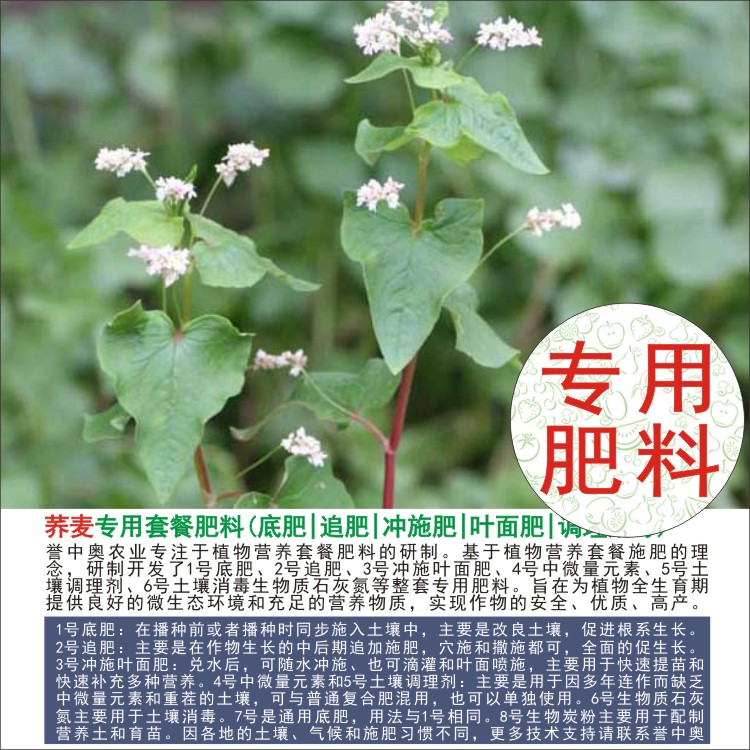 1-50斤荞麦专用肥料完整全套肥料家用通用农用有机肥复合肥颗粒