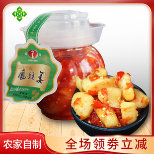湖北恩施土特产来凤姜凤头姜泡姜糟姜农家自制酸辣开胃下饭菜420g