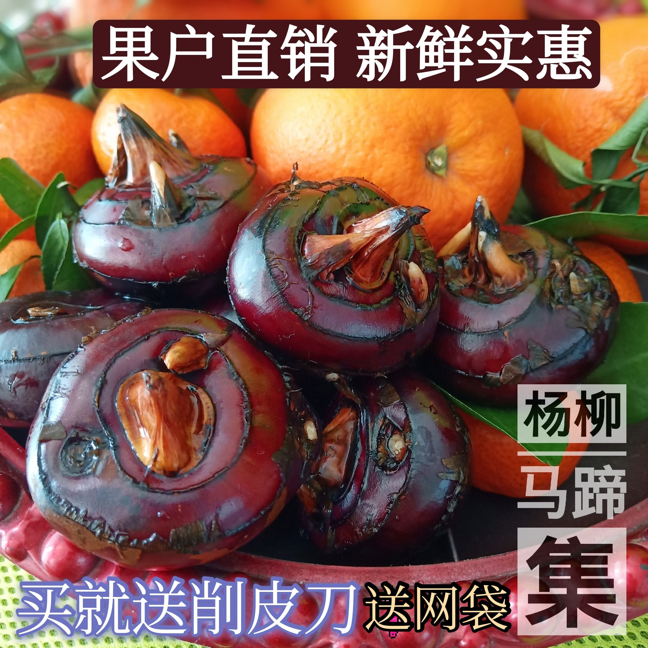 现挖新鲜马蹄荸荠大果地栗蒲岐3斤包邮农家特产当季水果蔬菜即食