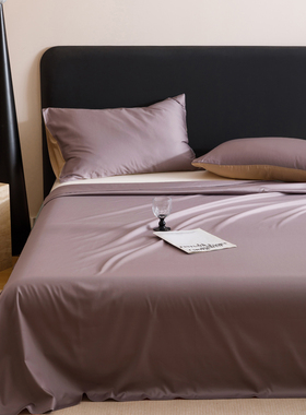 全棉紫色双人床主卧2米x2米2大尺寸2米乘2米2大床床单250cmx270cm
