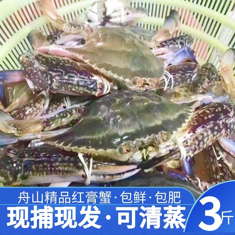保鲜不保活舟山梭子蟹公蟹母蟹包鲜包肥大公蟹现捕现发 3斤/份,水产肉类/新鲜蔬果/熟食,梭子蟹,淘宝优惠券,粉丝福利购,淘宝优惠卷