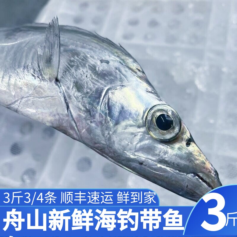 舟山带鱼 鲜带鱼海钓小眼新鲜大刀鱼整条鲜发野生海鱼 3斤3/4条